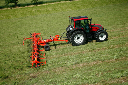 KUHN_6078