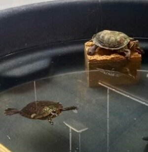 louise et christian2